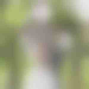 Glyzinienblütenranken-Simulation | WISBLOOM