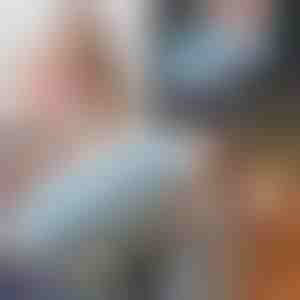 2 in 1 Tierhaarentfernungsbürste | ALLFUZZ