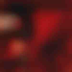 Das geschenk, das liebe spricht | LOVEBEAR