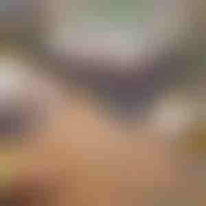 Tragbarer Holzkohlegrill | GRILLOMATE