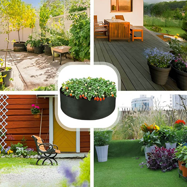 PLANTIE19753__a2da9f78